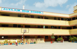 Auxilium Hassan